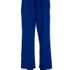 New LES TIEN Penny Pleat Front Pant Electrico
